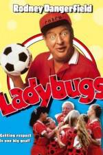 Watch Ladybugs 123moviesFree