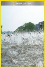 Watch National Geographic Hooked Carp Invasion 123moviesFree