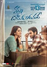 Watch Nannu Dochukunduvate 123moviesFree