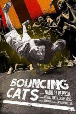 Watch Bouncing Cats 123moviesFree