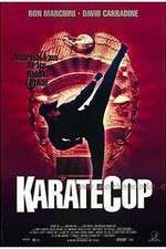 Watch Karate Cop 123moviesFree