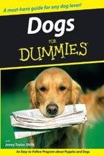 Watch Dogs for Dummies 123moviesFree