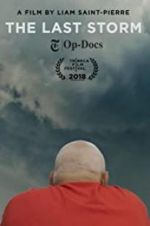 Watch The Last Storm 123moviesFree