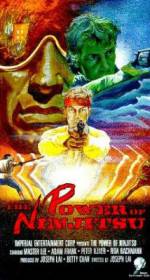 Watch The Power of Ninjitsu 123moviesFree