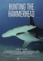 Watch Hunting the Hammerhead 123moviesFree