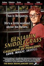 Watch Benjamin Sniddlegrass and the Cauldron of Penguins 123moviesFree