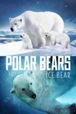 Watch Polar Bears Ice Bear 123moviesFree