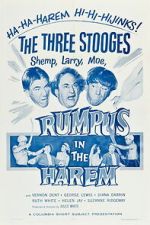 Watch Rumpus in the Harem 123moviesFree