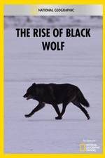 Watch The Rise of Black Wolf 123moviesFree