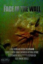Watch The Face in the Wall 123moviesFree
