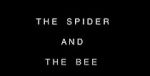 Watch The Spider and the Bee 123moviesFree