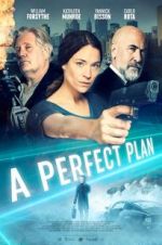 Watch A Perfect Plan 123moviesFree