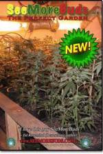 Watch SeeMoreBuds: Vol. 3 123moviesFree