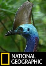 Watch Dino Bird 123moviesFree