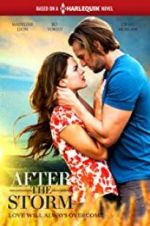 Watch After the Storm 123moviesFree