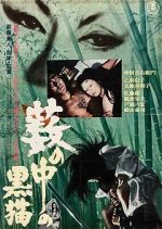 Watch Black Cat 123moviesFree