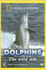 Watch Dolphins: The Wild Side 123moviesFree