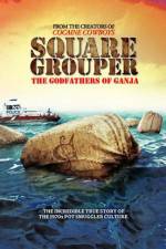 Watch Square Grouper 123moviesFree