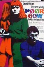 Watch Poor Cow 123moviesFree
