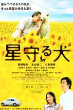 Watch Star Watching Dog 123moviesFree