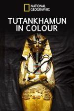 Watch King Tut in Color 123moviesFree