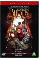 Watch Buddy 123moviesFree