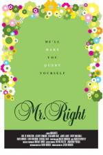 Watch Mr Right 123moviesFree