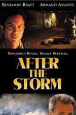 Watch After the Storm 123moviesFree