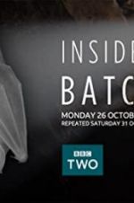 Watch Inside the Bat Cave 123moviesFree