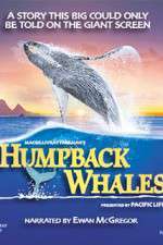 Watch Humpback Whales 123moviesFree