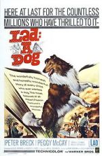 Watch Lad: A Dog 123moviesFree