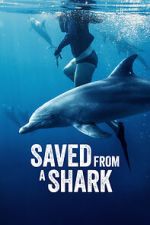 Watch Saved from a Shark 123moviesFree