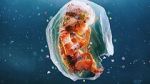Watch Plastic People 123moviesFree