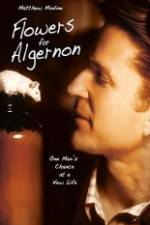 Watch Flowers for Algernon 123moviesFree