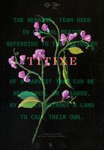 Watch Titixe 123moviesFree