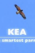 Watch Kea - The Smartest Parrot 123moviesFree