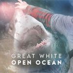 Watch Great White Open Ocean 123moviesFree