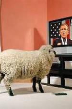 Watch Educating The Sheeple 123moviesFree