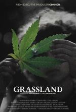 Watch Grassland 123moviesFree