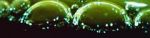 Watch Zea (Short 1981) 123moviesFree