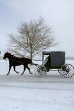 Watch Leaving Amish Paradise 123moviesFree