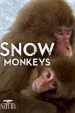 Watch Nature: Snow Monkeys 123moviesFree