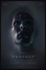 Watch Perfect 123moviesFree