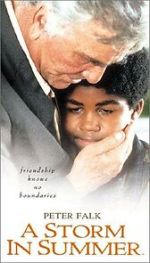 Watch A Storm in Summer 123moviesFree