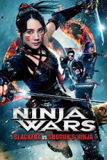 Ninja Wars: BlackFox vs Shogun\'s Ninja