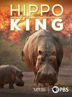 Watch Hippo King 123moviesFree