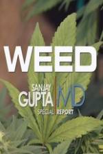 Watch CNN Weed Sanjay Gupta Report 123moviesFree