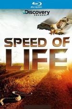 Watch Speed of Life 123moviesFree