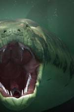 Watch The World's Largest Snake 123moviesFree