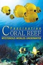 Watch Fascination Coral Reef: Mysterious Worlds Underwater 123moviesFree